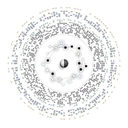 binary network