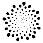 universal seed arrangement