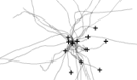 particle emitter component, path tracing