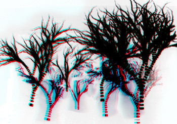 recursive forests