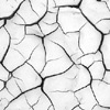 mud cracks