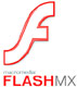 Flash MX